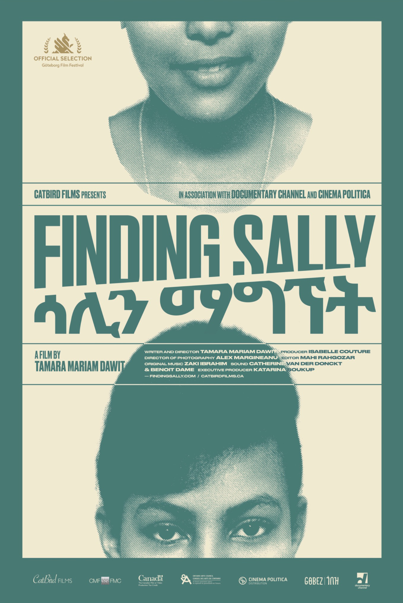 Finding Sally poster